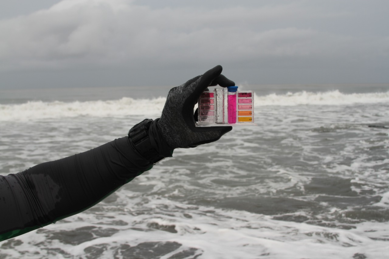 El monitoreo Playas Limpias 2026 detectó contaminación en playas de Baja California, Jalisco, Oaxaca y Veracruz.jpeg